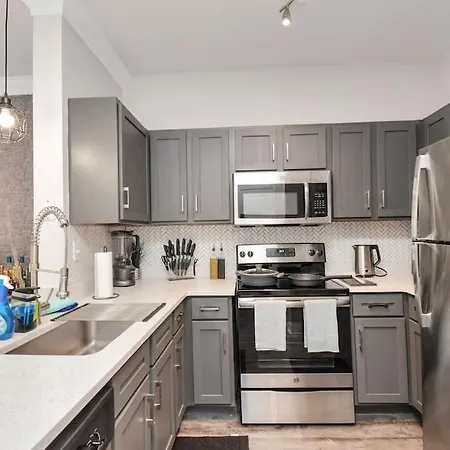 Luxury 1Br Apt ,Nrg ,Downtown ,Med Center,Galleria Houston Exterior photo